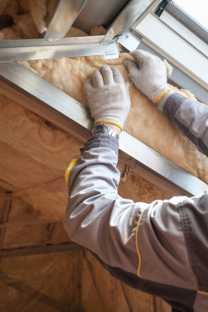 Best Insulation Maintenance and Repair in West Miami, FL